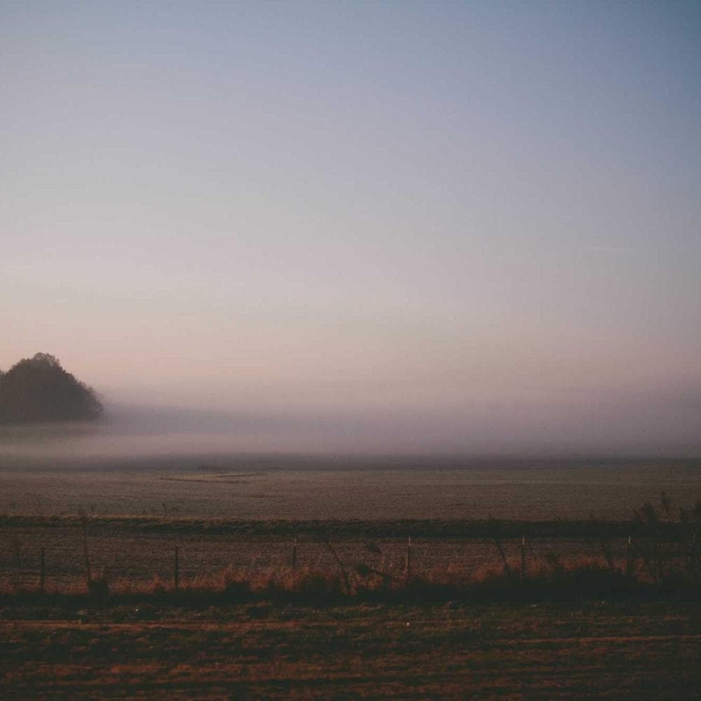Confetti Cloud Co. — cover photo