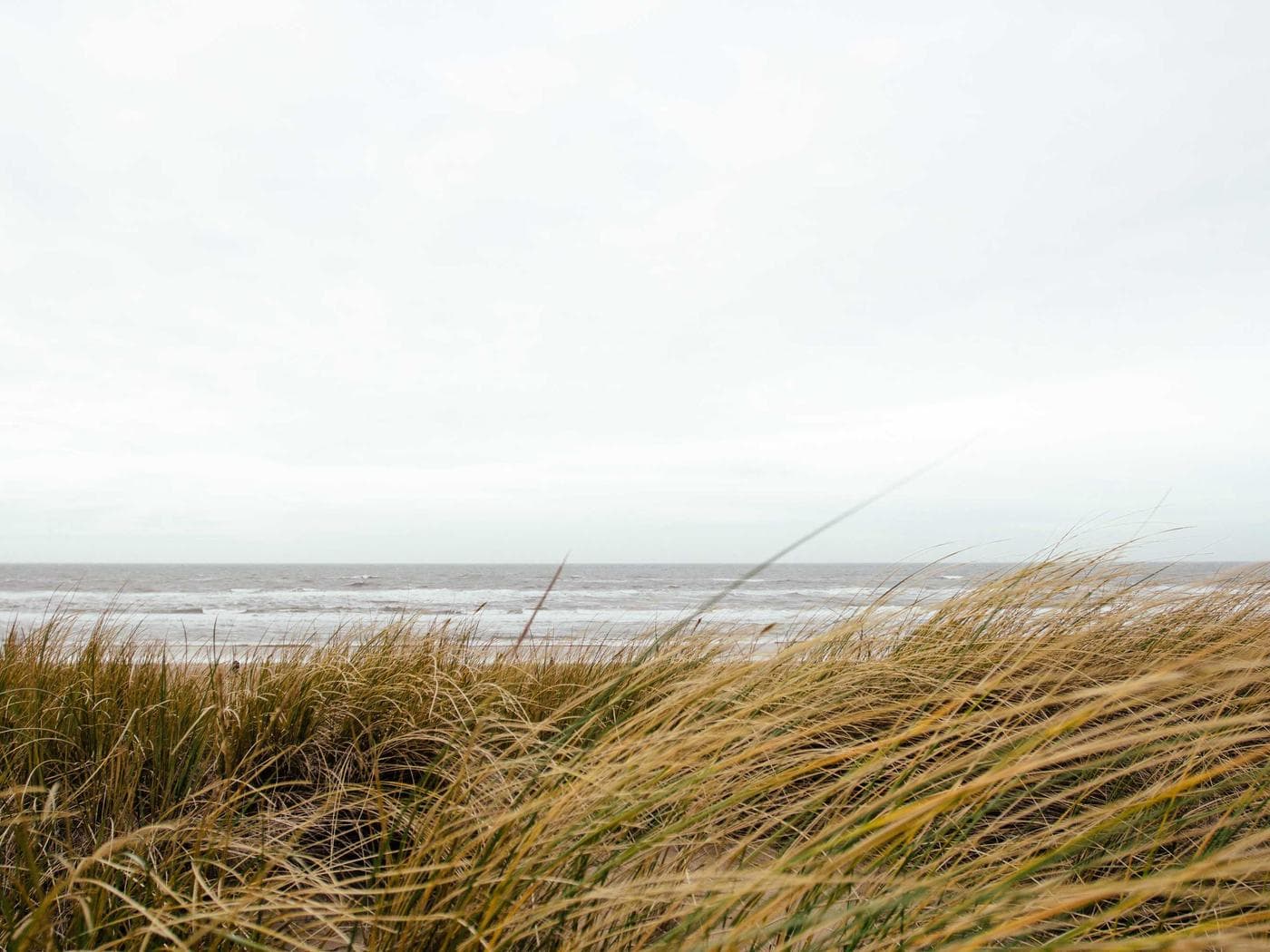 Golden Hour Photography — cover photo